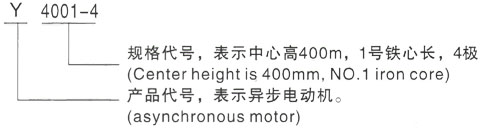 西安泰富西玛Y系列(H355-1000)高压YKK4505-2/800KW三相异步电机型号说明